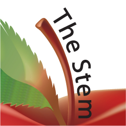 The Stem Creative website preview